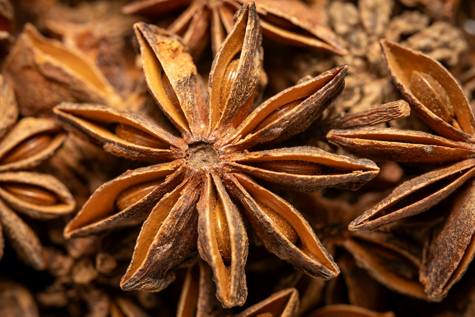 close up of star anise spice with detailed textures